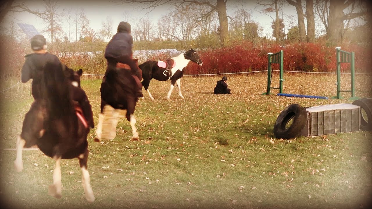 FIRST TIME BUCKED OFF MY HORSE! Day 289 (10/21/19)