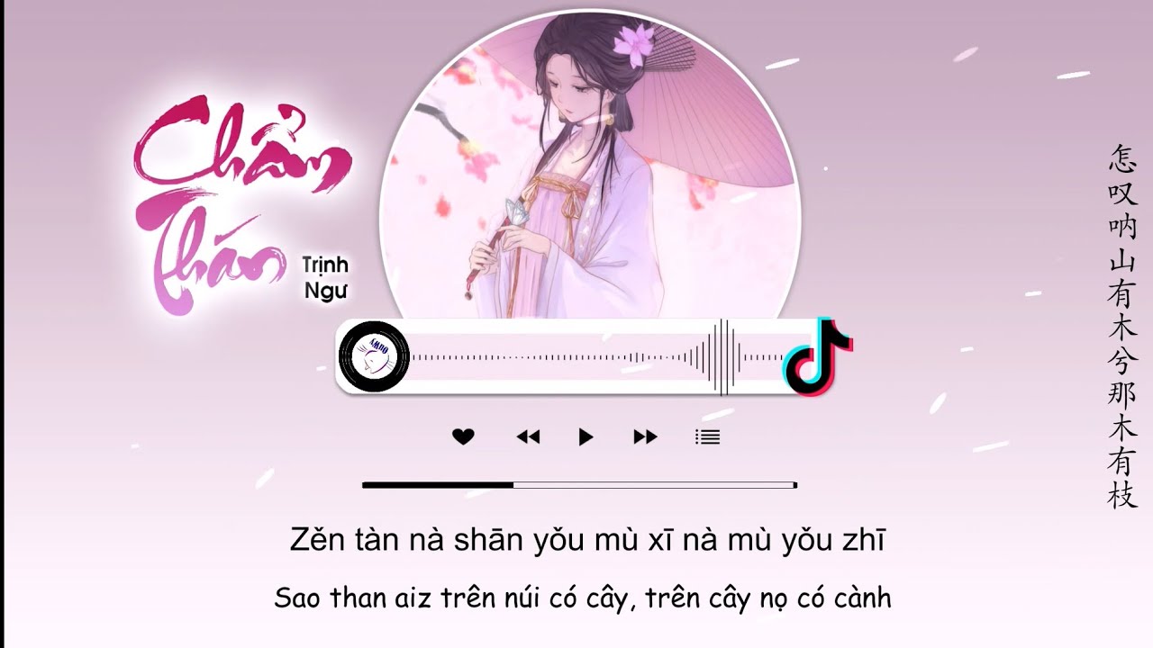 [Vietsub] Chẩm Thán - Trịnh Ngư | 怎叹 - 郑鱼
