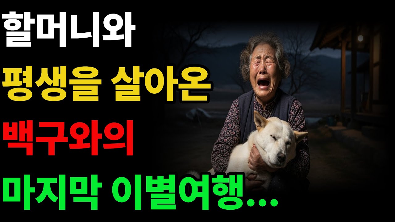 백구와 할머니의 감동적인 마지막 이별여행 이야기