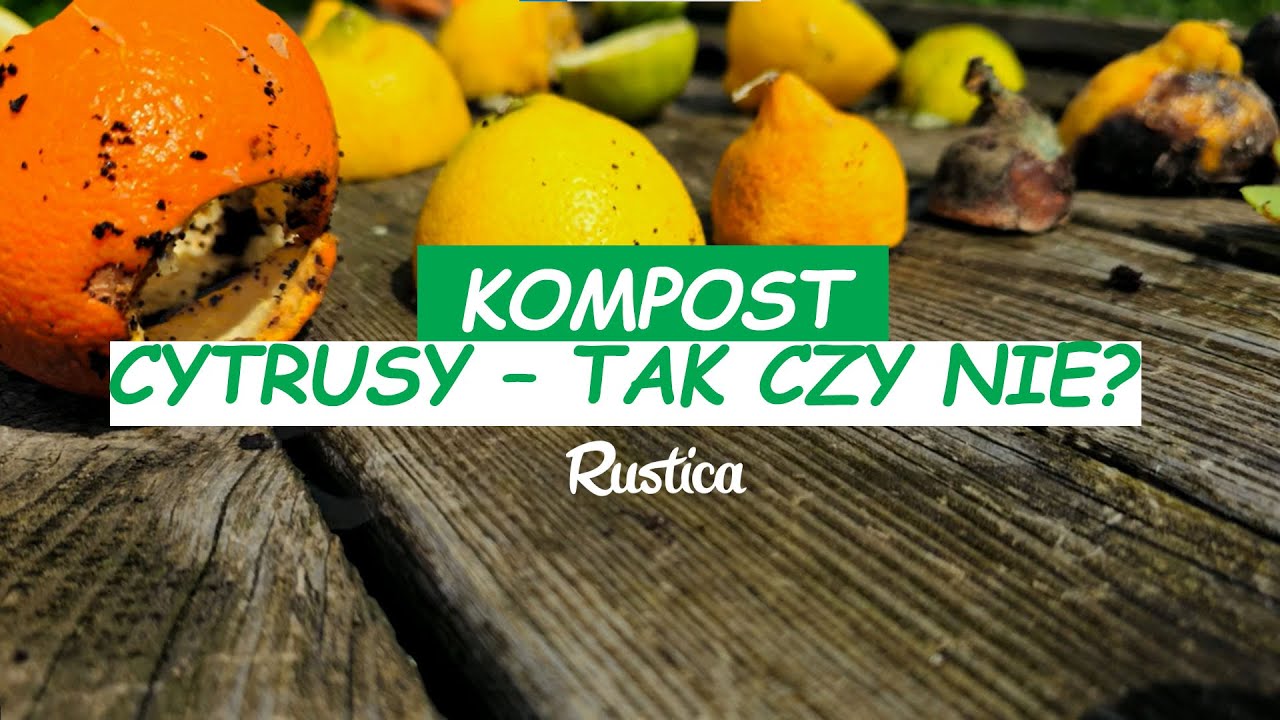 Czy cytrusy można wrzucać do kompostu?