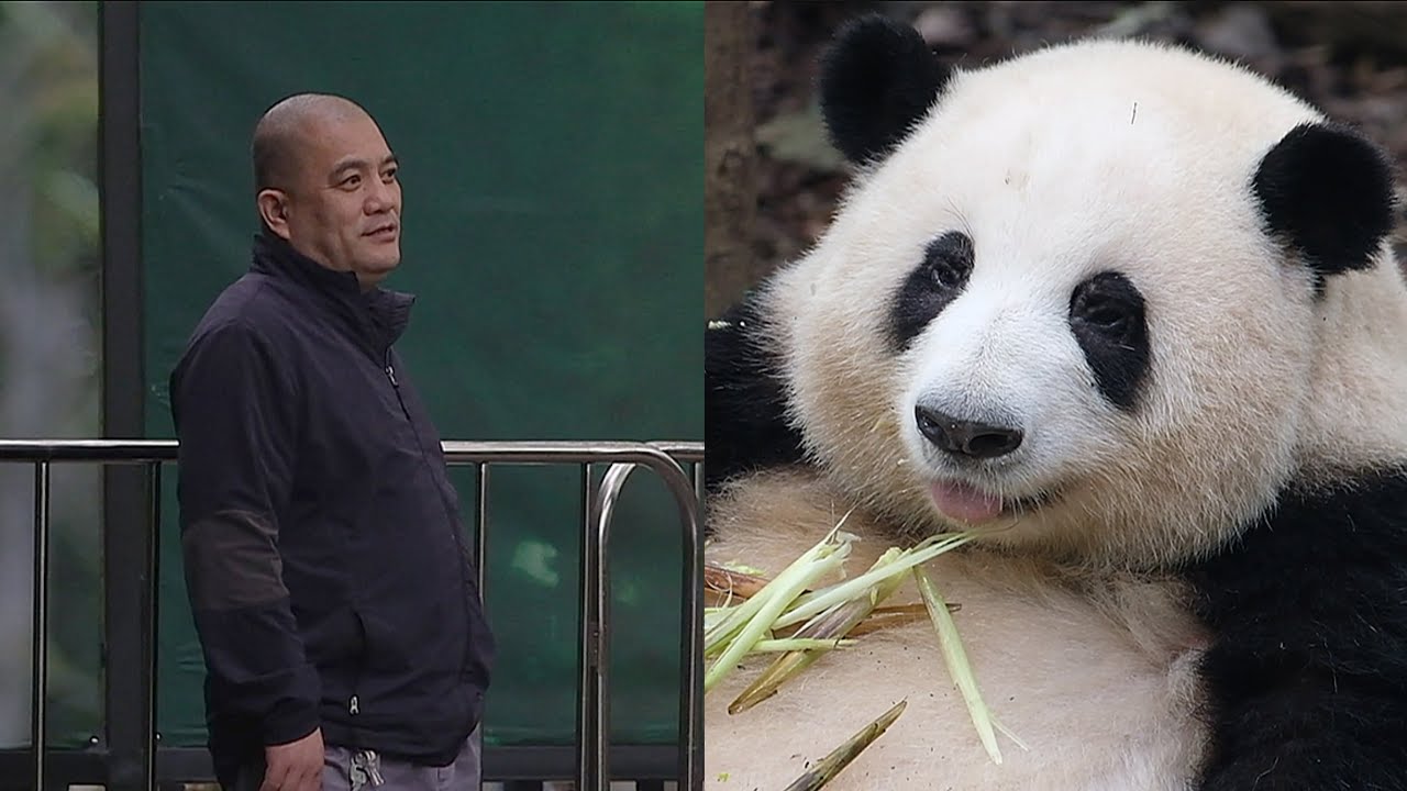 24.10.09 爷爷来看花花，结果变中老年粉丝追星现场哈哈！爷爷吓的赶紧跑了…