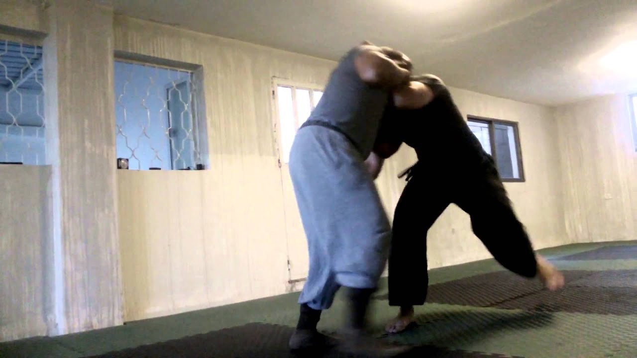 Vs Wrestler - Heaven Man Earth Taiji
