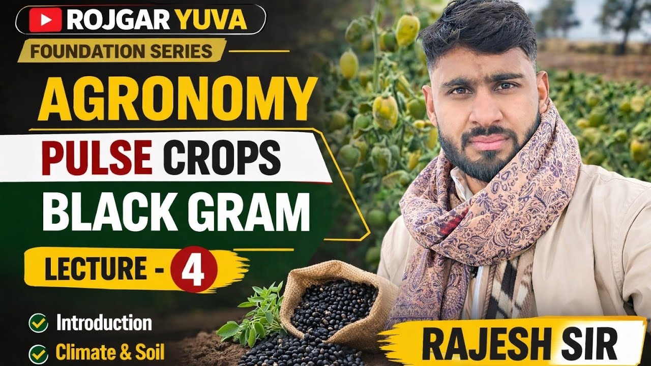 Black Gram Lecture 4 | Urad Crop Complete Guide | Agronomy Series by Rajesh Sir#blackgramrecipe
