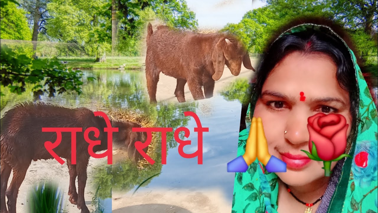 @#राधे राधे 🙏🙏 like support banae Rakhna bhai log