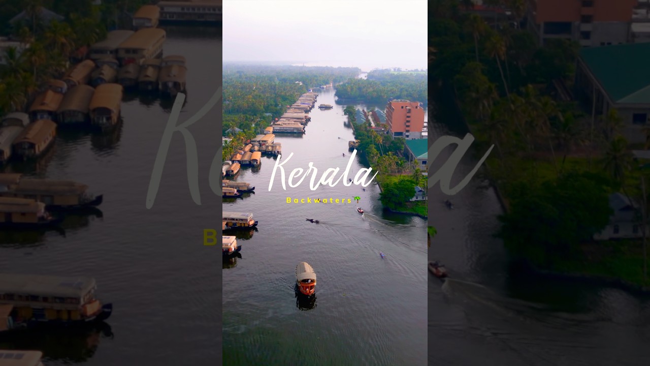 Beauty of Kerala Backwaters in Alleppey 🌴😍 #kerala #2025 #alleppeybackwaters #shortsfeed #ytshorts