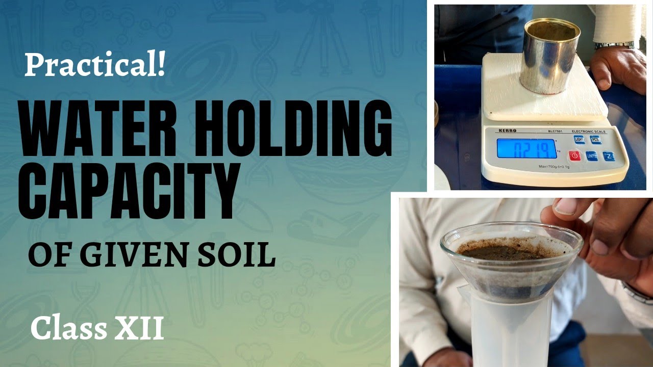 To check Water Holding Capacity of soil | Biology Practical | Class 12
