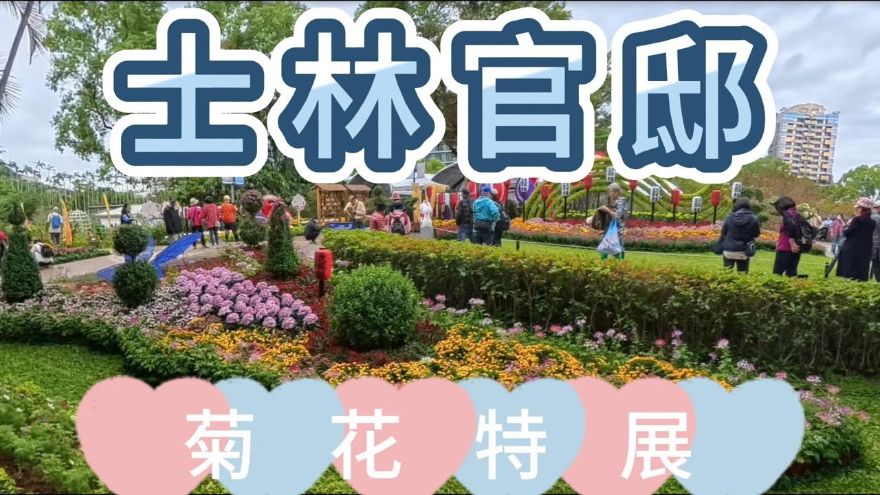 士林官邸菊花展，人潮爆滿!The Shilin Residence Chrysanthemum Exhibition is packed with visitors!#士林官邸#菊花展#台北景點