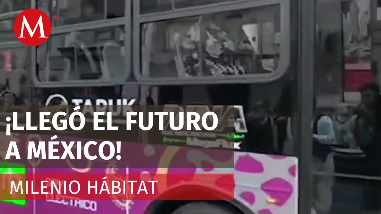 Presentan a 'Taruk', el primer autobús eléctrico 100% mexicano | Milenio Hábitat