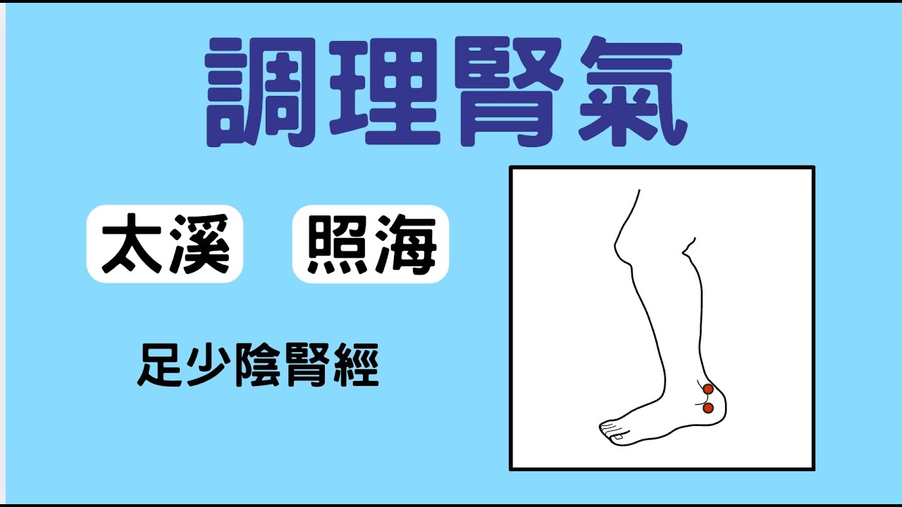 足少陰腎經的太溪和照海穴，調理腎氣兩個穴位一起來/蔡淑如醫師