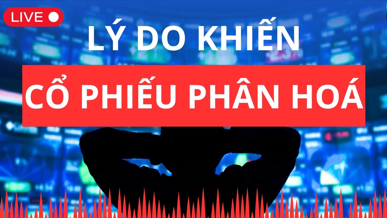 Chứng khoán hôm nay | Nhận định thị trường | Lý do cổ phiếu phân hoá