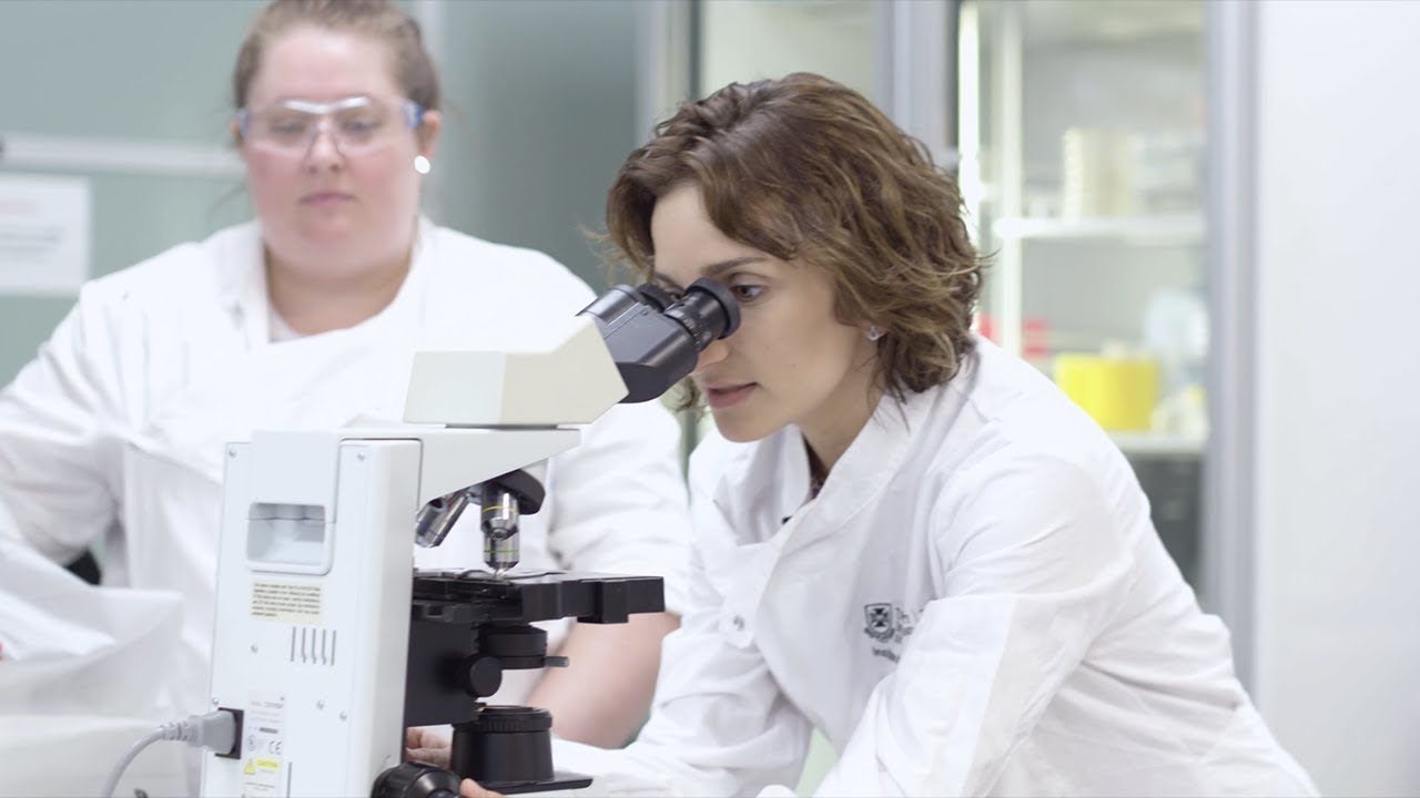 Supporting research: the importance of funding science