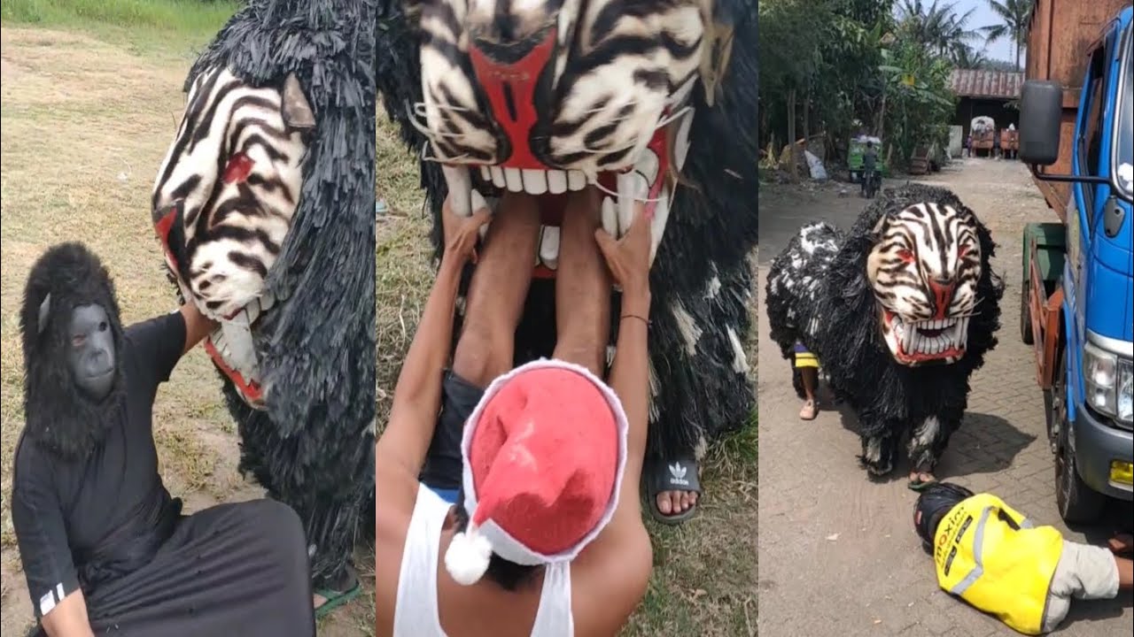 BEST OF SHORTS SINGO OTRAHUM -VIDEO LUCU TERBARU #PART141