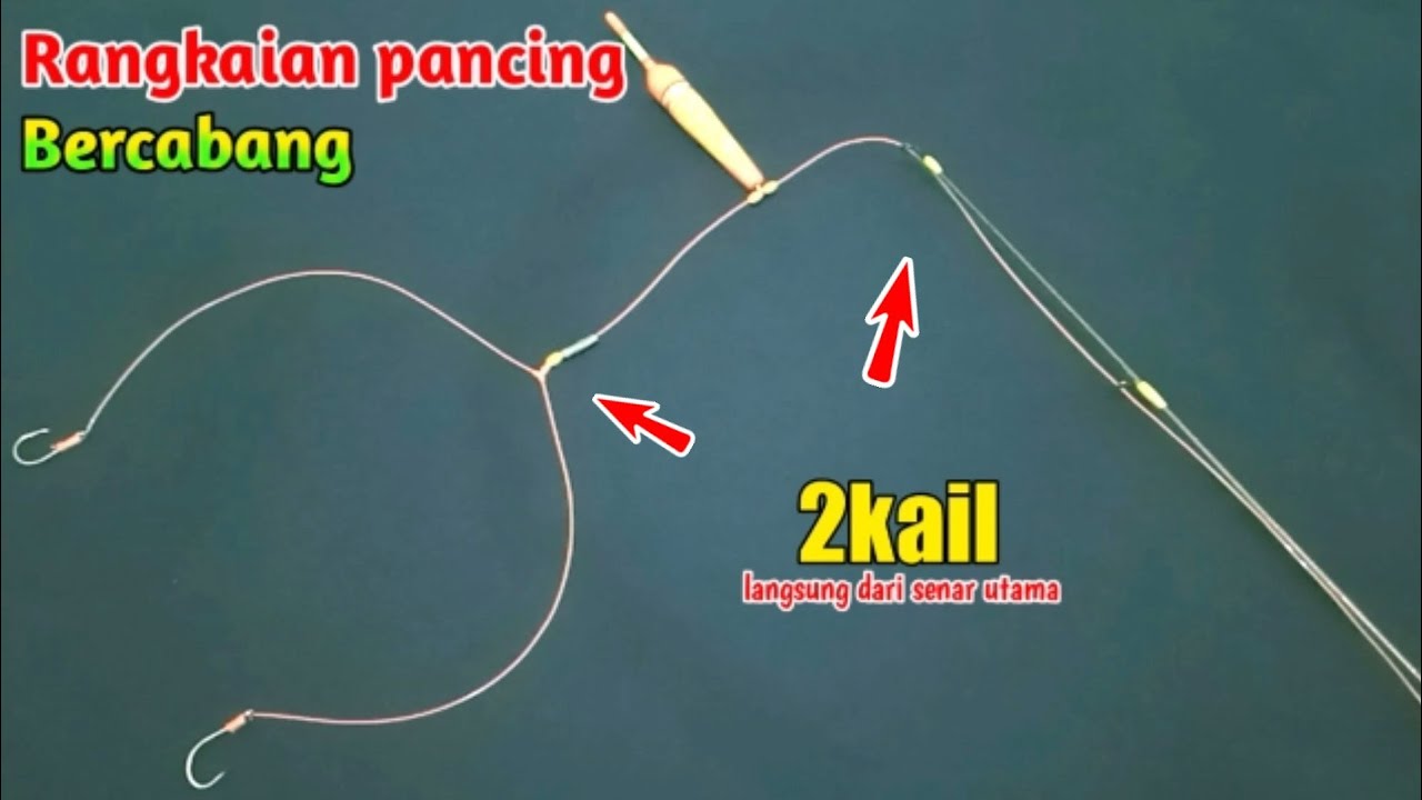 cara membuat rangkaian pancing ikan//bercabang langsung dari senar utama // 2kail-T knot