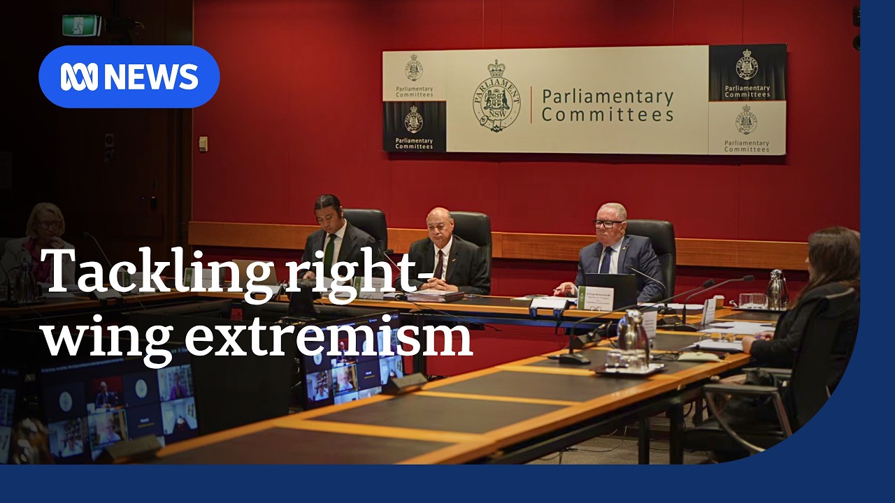 NSW inquiry into right-wing extremism 'the tip of a much larger iceberg' | ABC NEWS