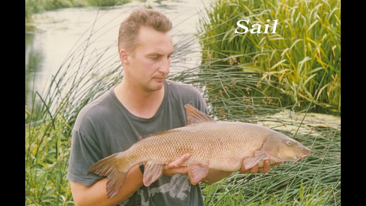 Barbel Great Ouse Records