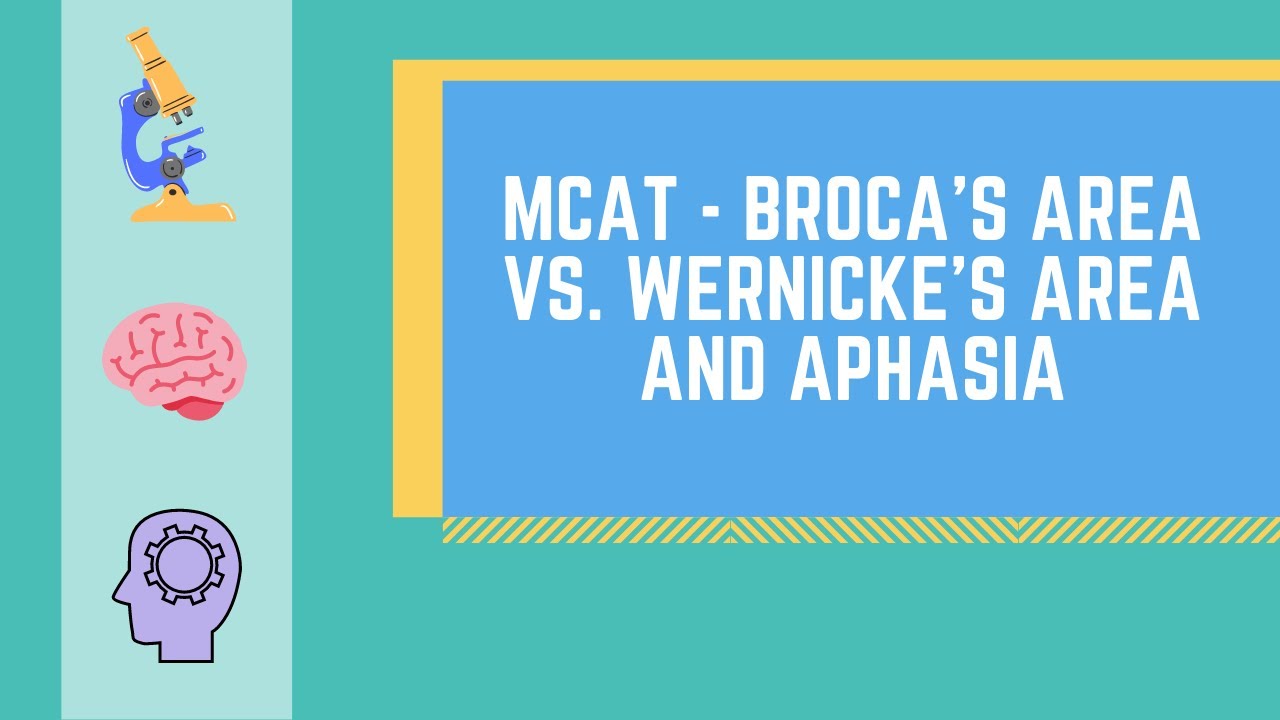 Broca's Area vs. Wernicke's Area and Aphasia MADE EASY | MCAT |