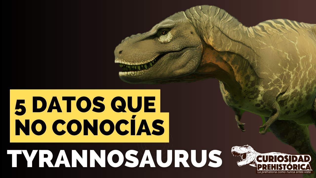 ¡5 DATOS QUE NO CONOCÍAS DE TYRANNOSAURUS!