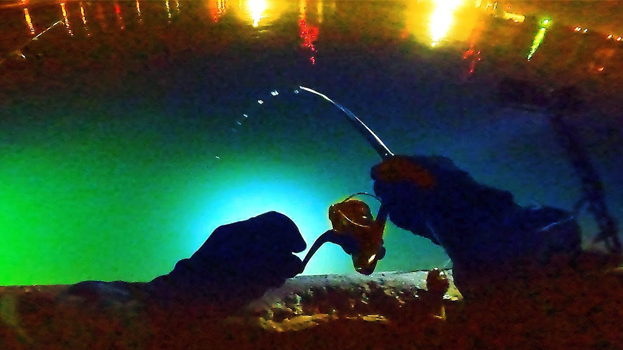 【北海道石狩湾・小樽釣り】ワタリガニ釣り名人発見!!　2025.8.28　北国の生活（石狩湾新港樽川埠頭、夜釣り、投光器、サビキ釣り）