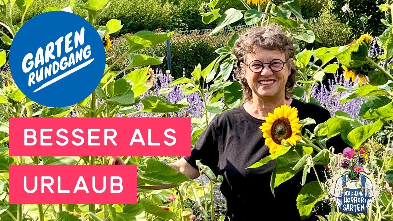 So sieht mein Garten nach 3 Wochen ohne Pflege aus!