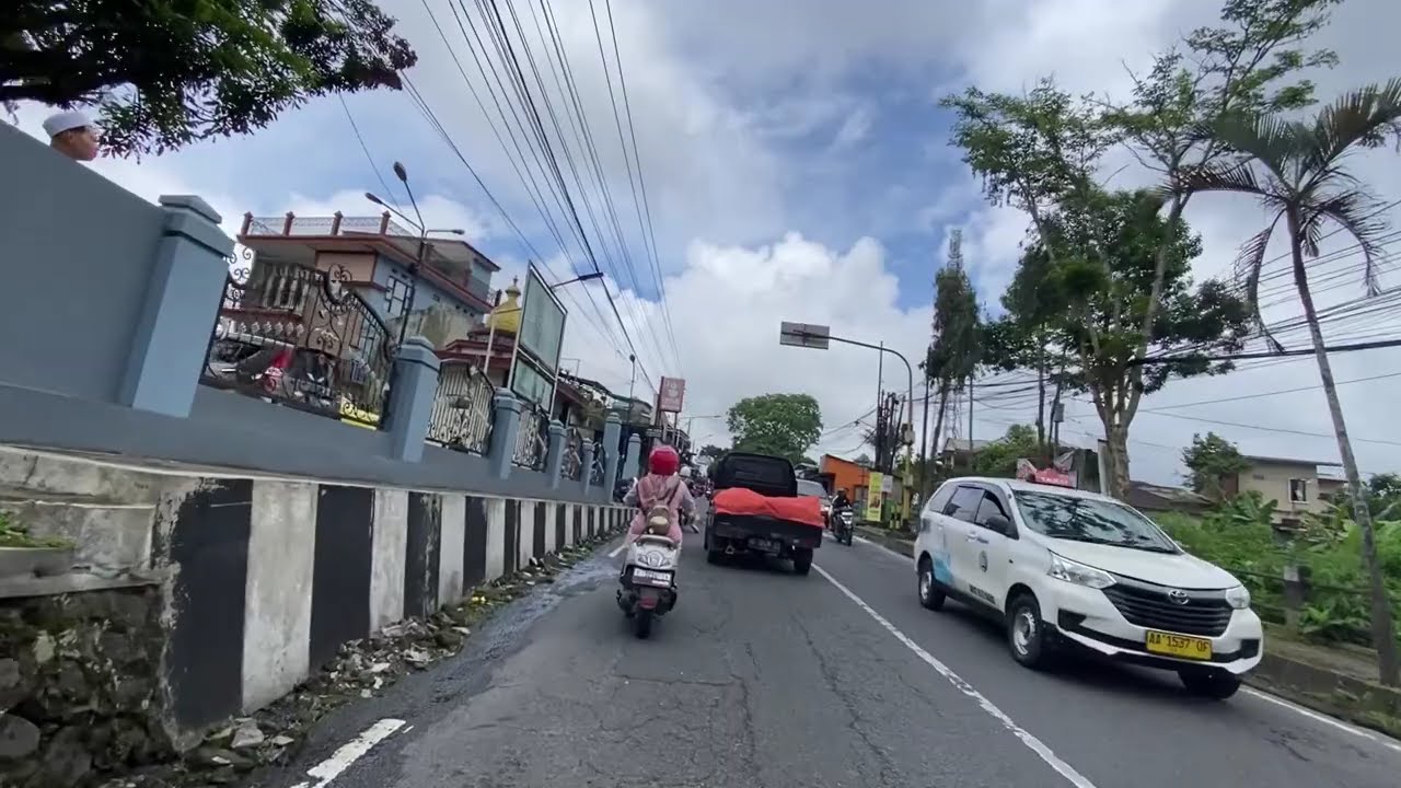 let's go for a walk, friends