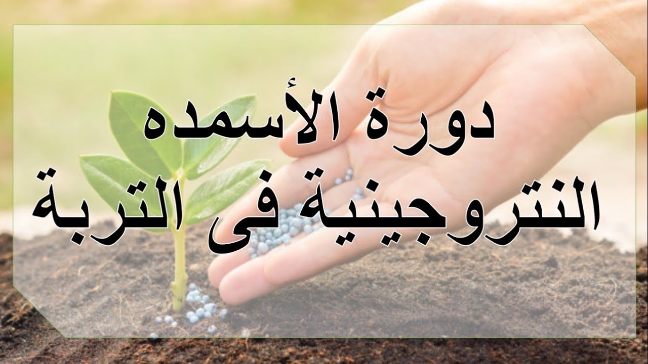 دورة الاسمده النتروجينية فى التربة Nitrogen Cycle