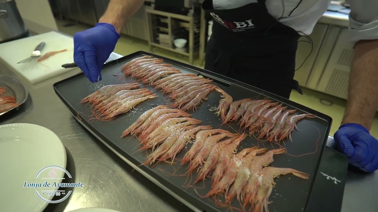 Gambas de la Lonja de Ayamonte, reportaje de Canal Tele Bilbao