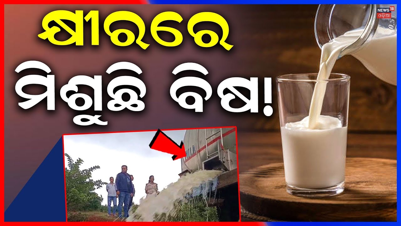 Low Quality Milk Found in Odisha? Minister Reveals Data in Odisha Assembly | Odia News