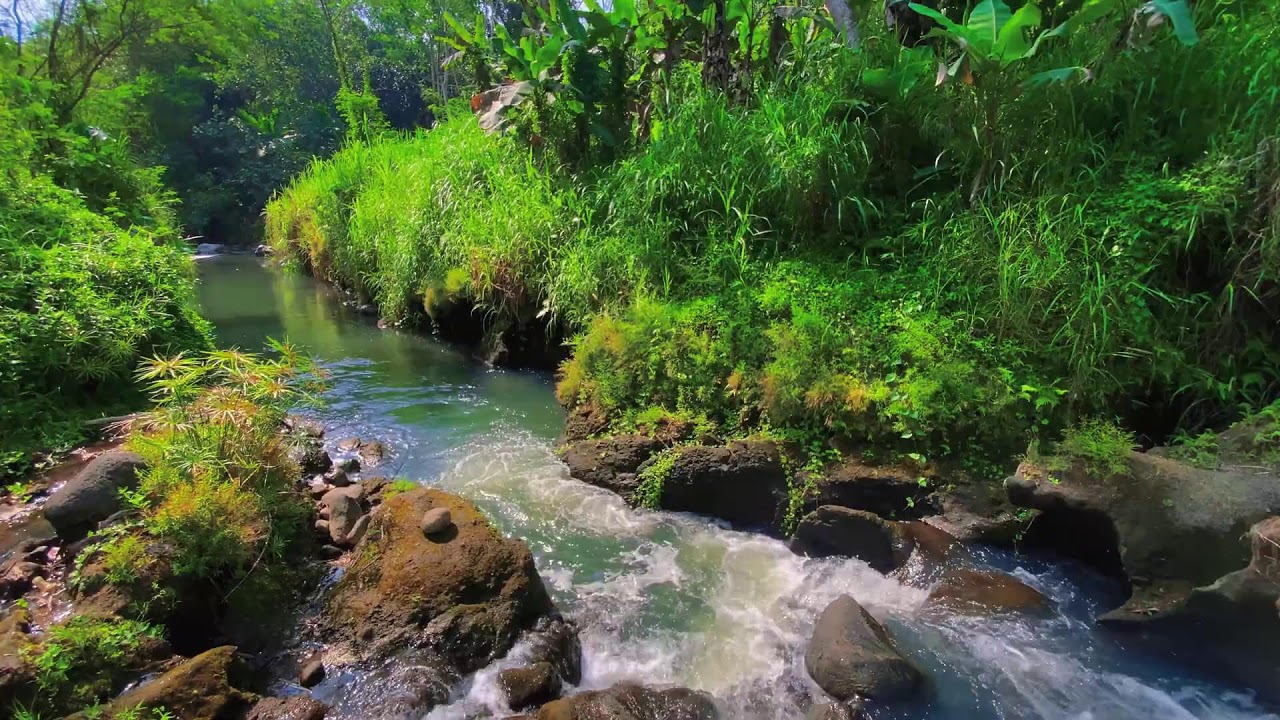 Calming River Sounds – 10 Hours of Natural ASMR for Focus & Anxiety Calm
