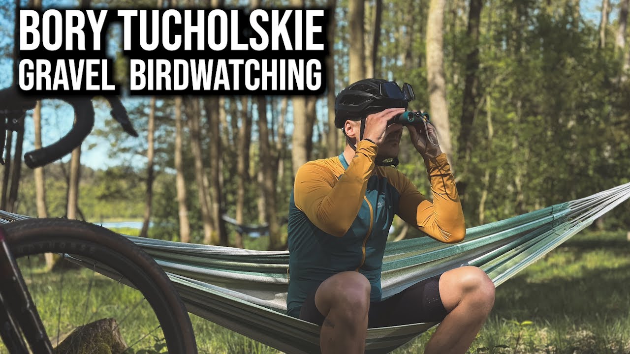 BORY TUCHOLSKIE - Ptasiarstwo GRAVELOWE!