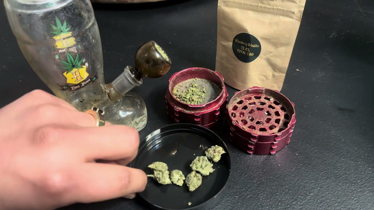 Stoney Branch Farms CBD Review: Blueberry Waffles (🫐🧇😯)