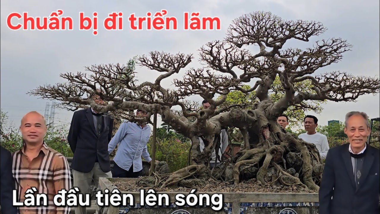 Nhà vườn Bảo Nam chuẩn bị cho 2 tác phẩm đi triển lãm thủ đô 