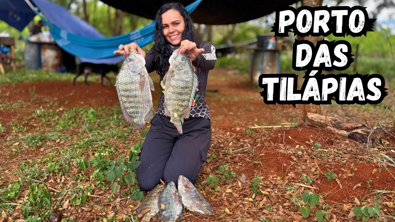 ACAMPAMOS E PESCAMOS ESSE LUGAR TEM MUITA TILÁPIA  EM RIOLÂNDIA