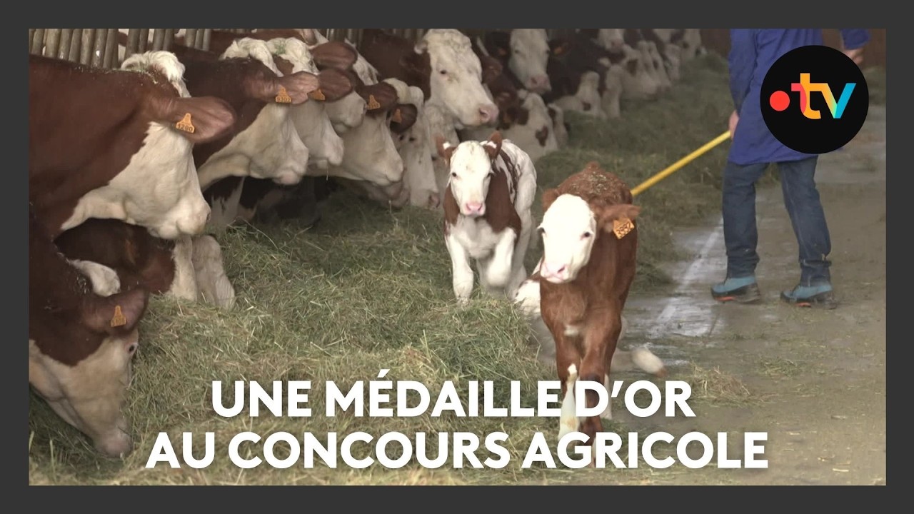 Une médaille d'or au concours agricole de aAris, un vrai plus pour les agriculteurs
