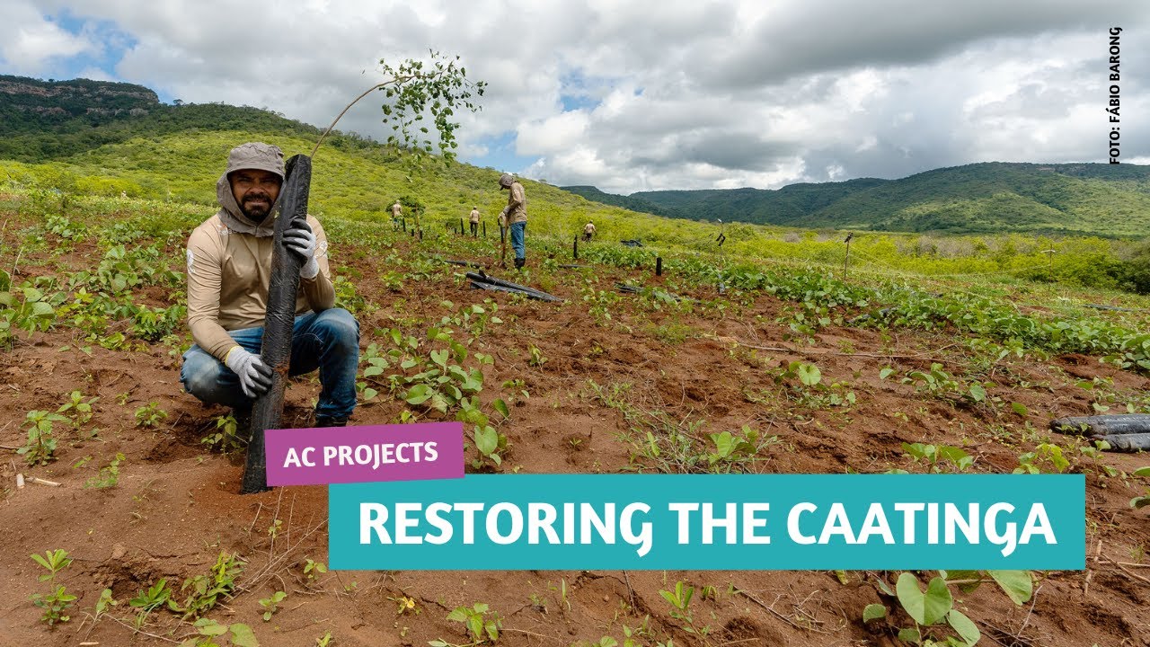 Restoring the Caatinga