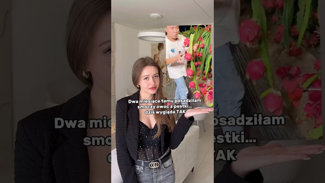 Smoczy owoc z nasionka po dw&oacute;ch miesiącach 🌵