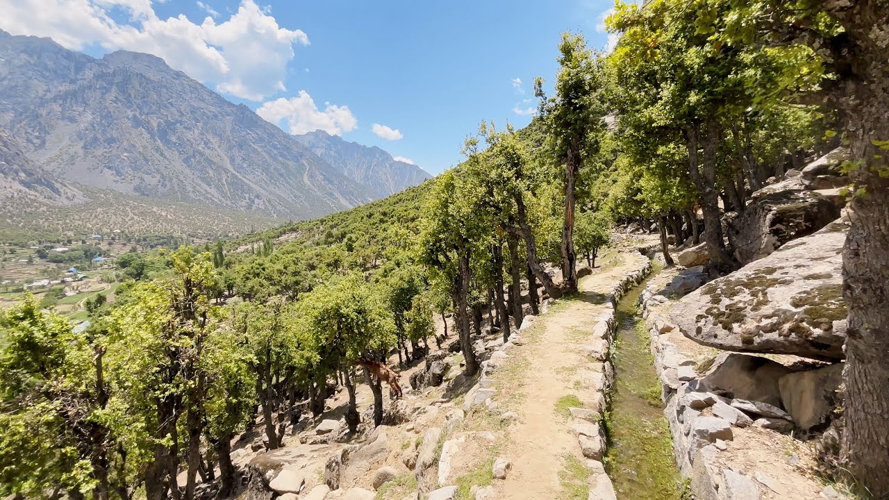 Walk & Hike with Ambiance | Darel Valley Gilgit