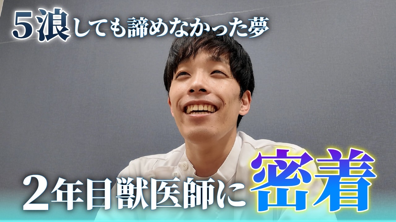 【1日密着後半】ノゾキミ密着から1年半。2年目獣医師が向き合う“命を預かる重さ”とは。