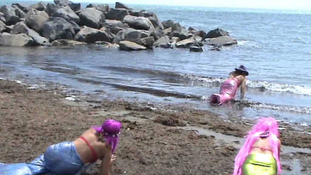 mermaid ...return to the sea..save our seas