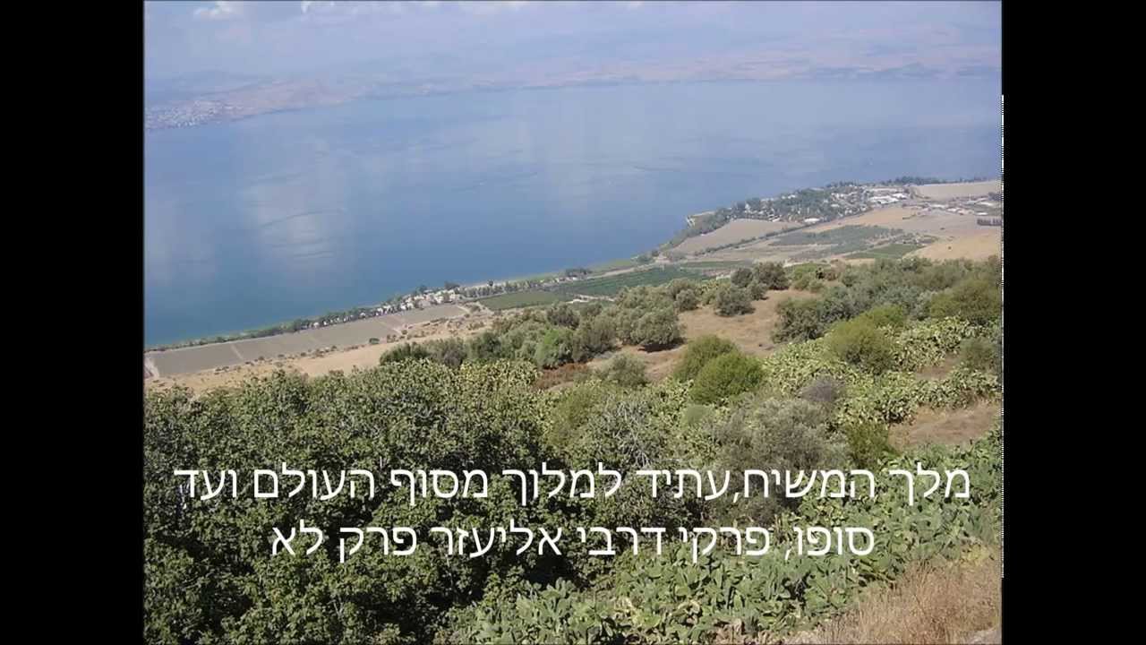 מלך המשיח - שלמה כהן