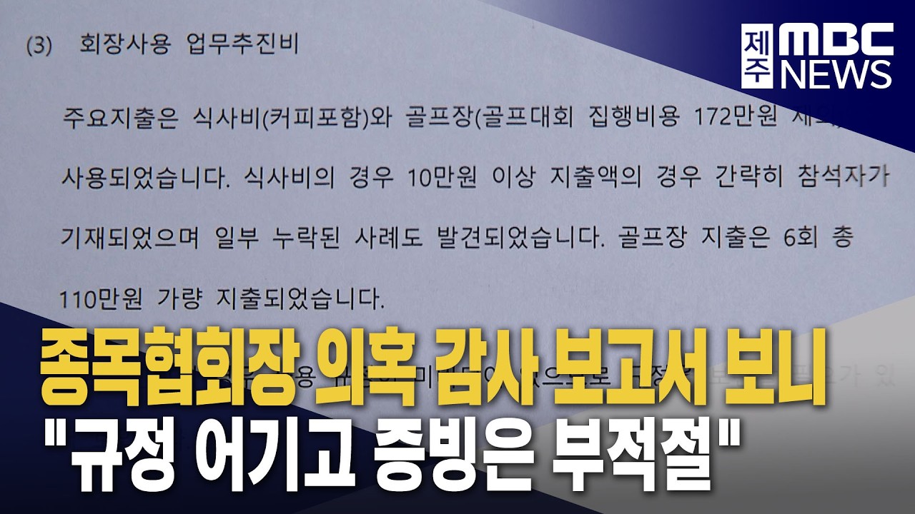 감사 보고서 