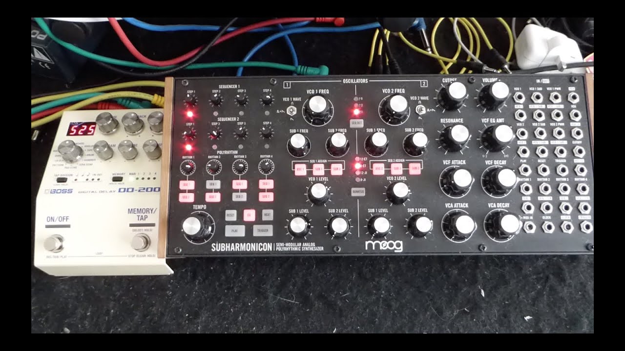 Moog Subharmonicon & Boss DD200 Digital Delay