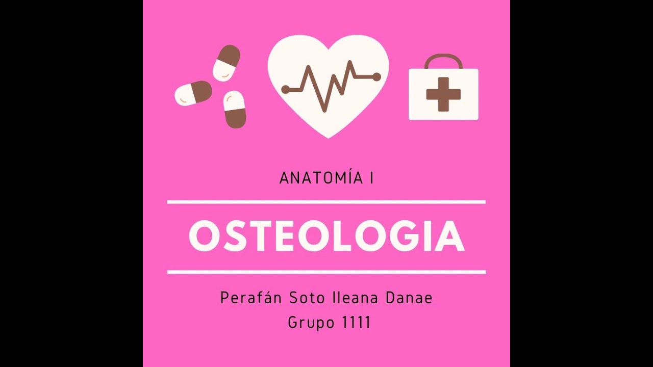 Osteología- Anatomía Veterinaria 1 👩🏻‍⚕️✨