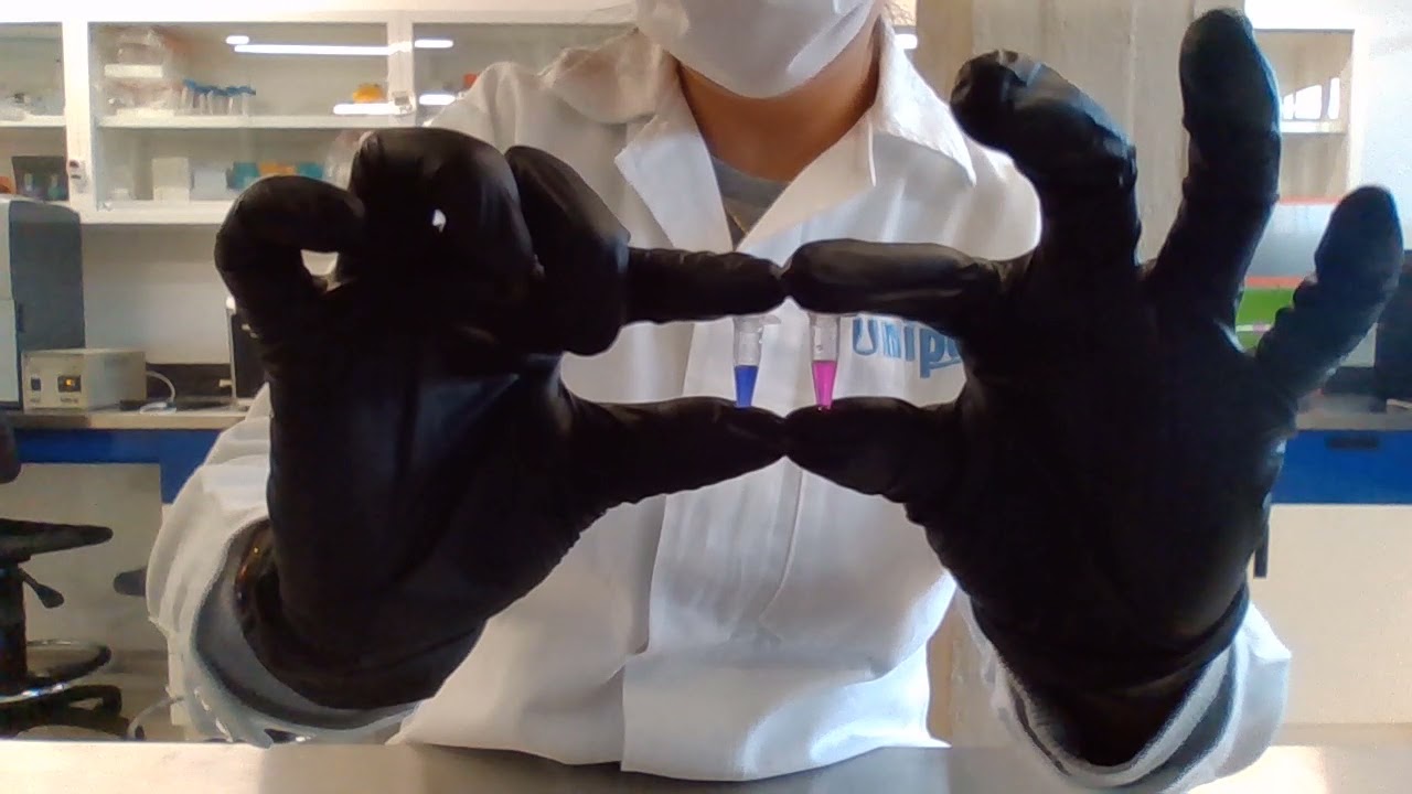 Técnicas de pipeteo y tipos de pipetas