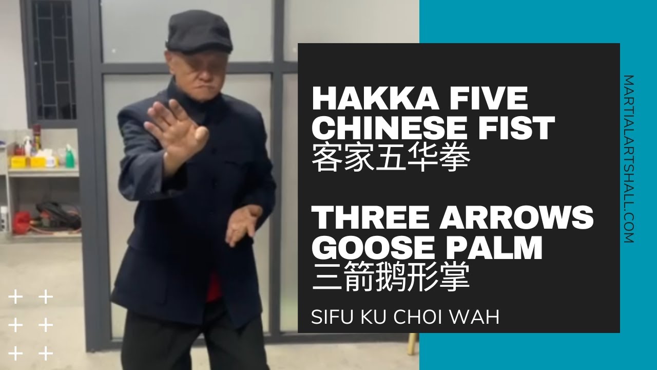 Hakka Five Chinese Fist :  Three Arrows Goose Palm (五华拳：三箭鹅型掌)