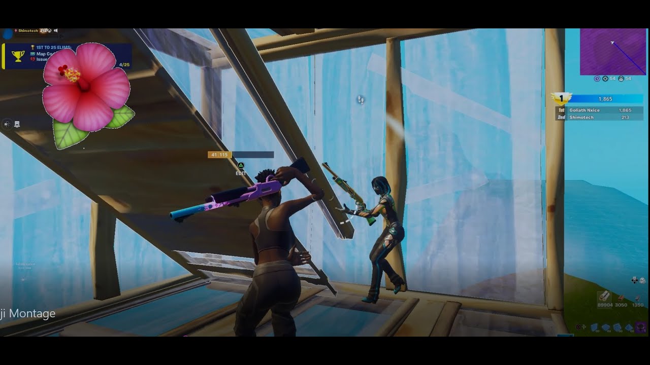 Fiji 🌺 (130 Ping Fortnite Montage) ZA