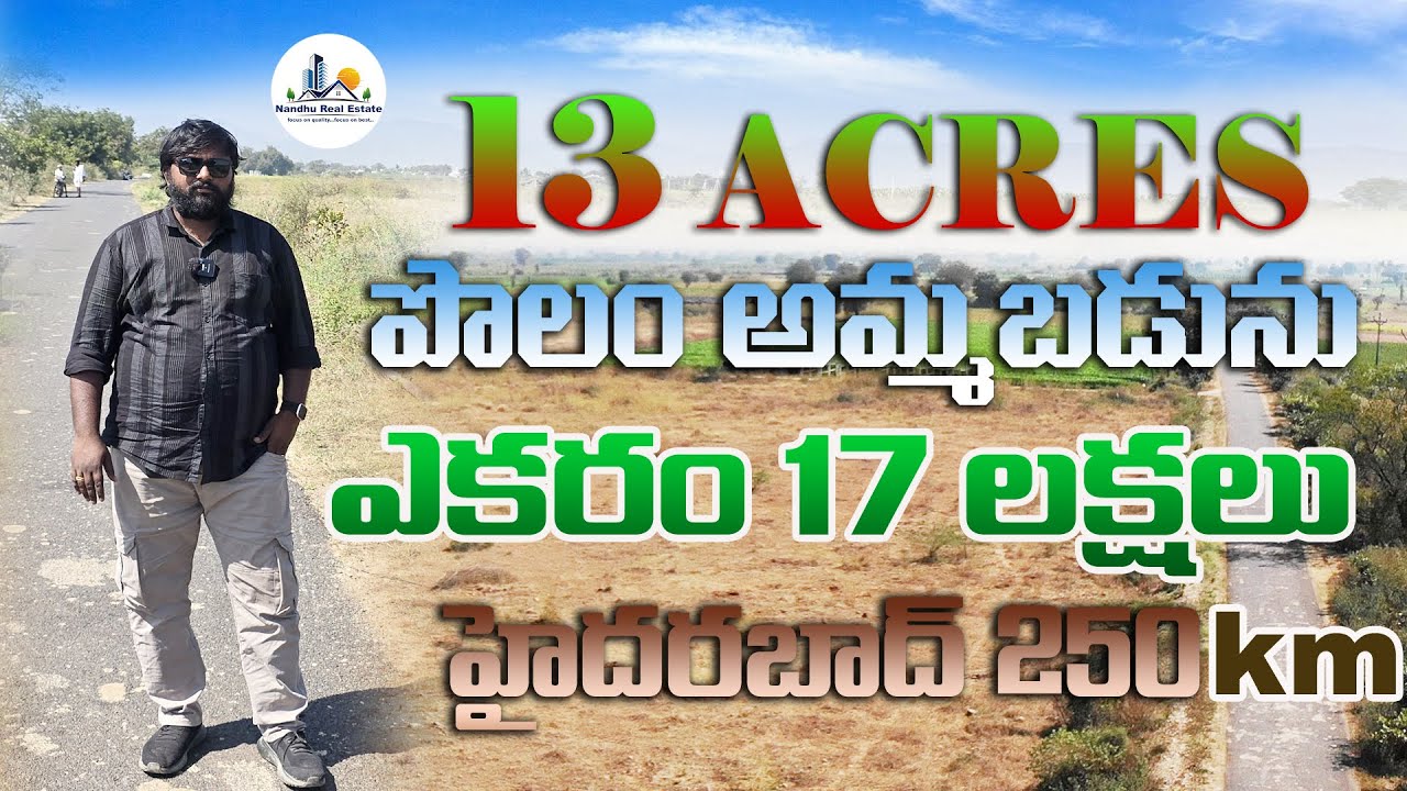 యర్రగొండపాలెం దగ్గర బెస్ట్ అగ్రికల్చర్ ల్యాండ్ డీల్ | 13 ఎకరాలు 1ACRE 17 లక్షలు@NandhuRealaEstate