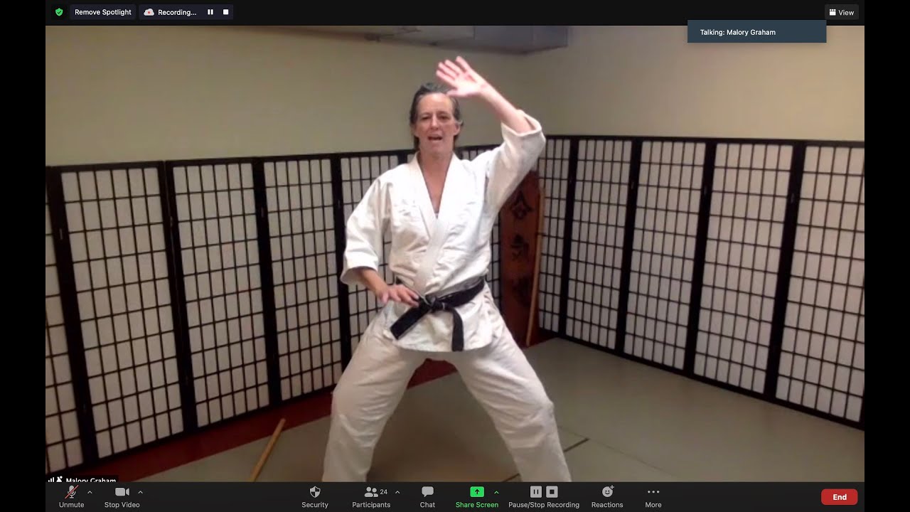 NOLA Aikido Presents: Malory Graham Sensei -  'What Is Unshakeable in Your Aikido Practice?'