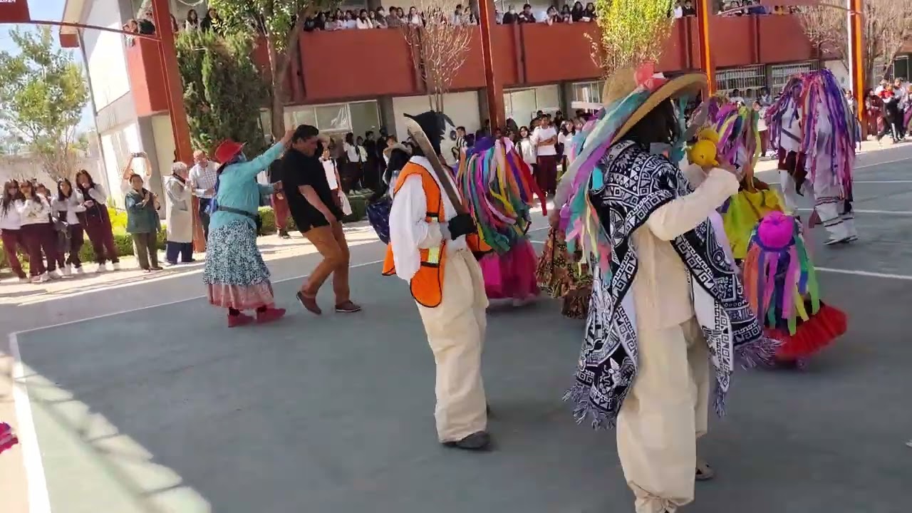 TRADICIONAL CAMADA 