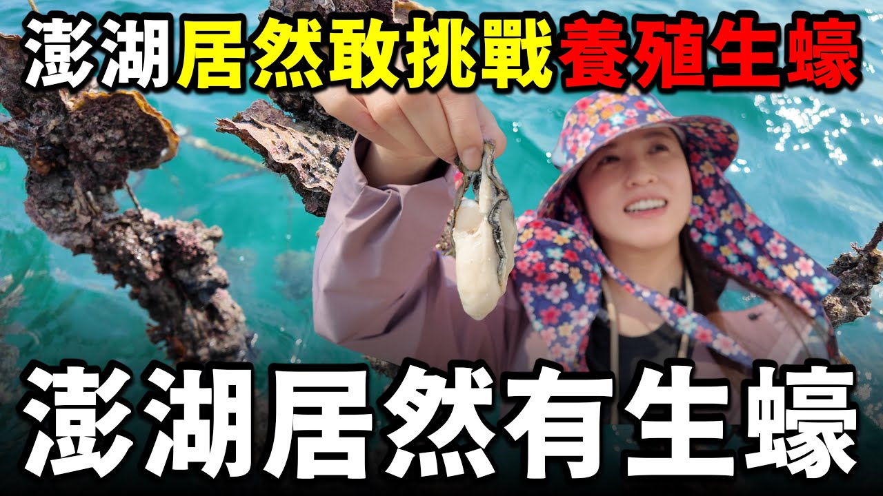 以後是不是能夠買到『澎湖』生產的高級生蠔了？？！ 台灣人勇敢嘗試養殖生蠔，佩服！