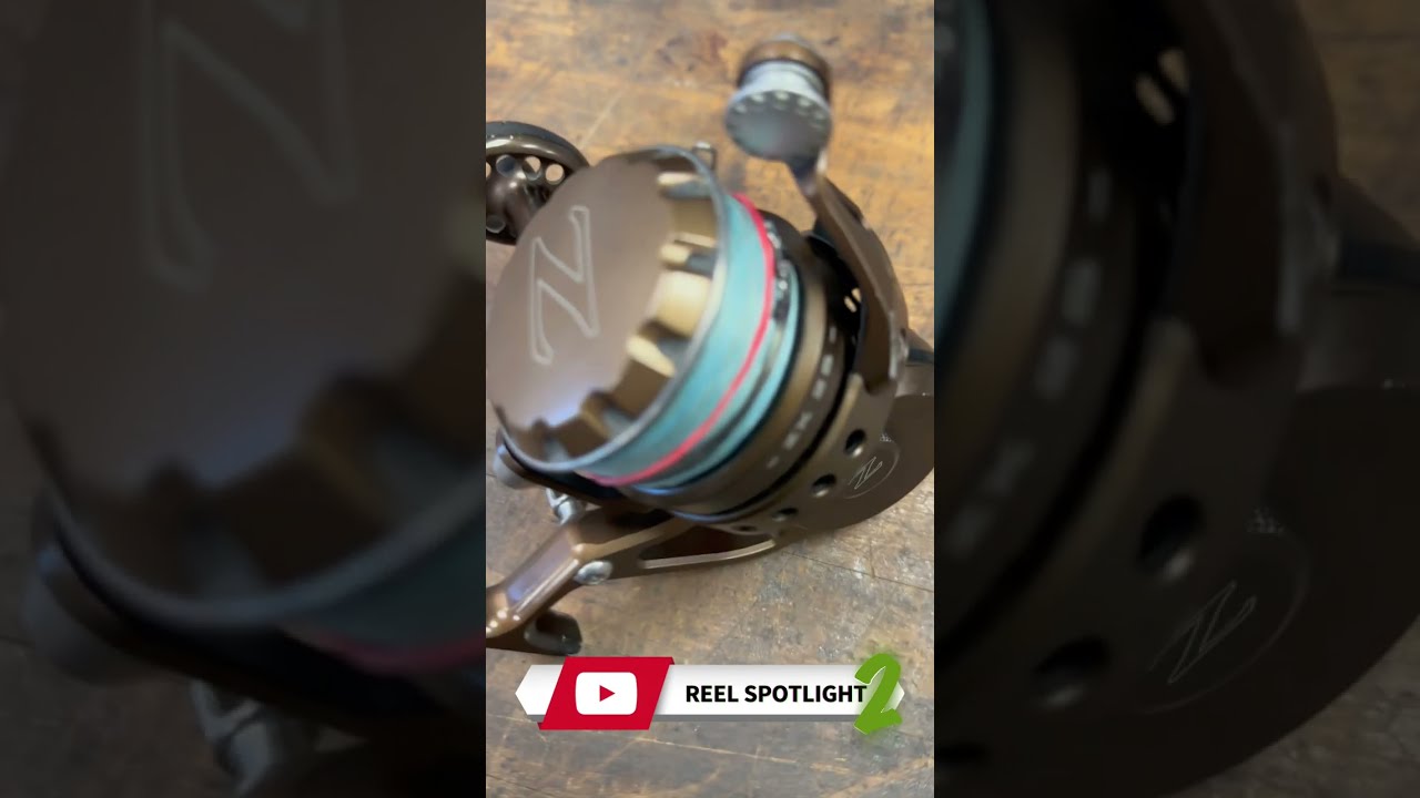 ZeeBaaS Reel Spotlight 2: REEL CONFIDENCE